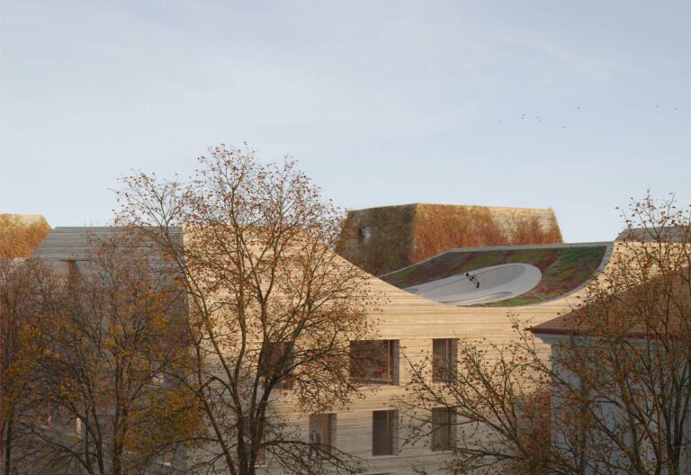 City Library roofs